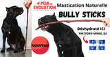 PUR EVO BUlly sticks lancement