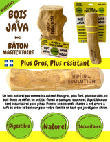 PUR EVO FICHE BOIS DE JAVA