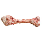 bones_lamb_femur_2